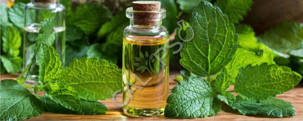 Patchouli etherische olie